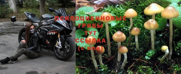 MDMA Premium VHQ Покровск