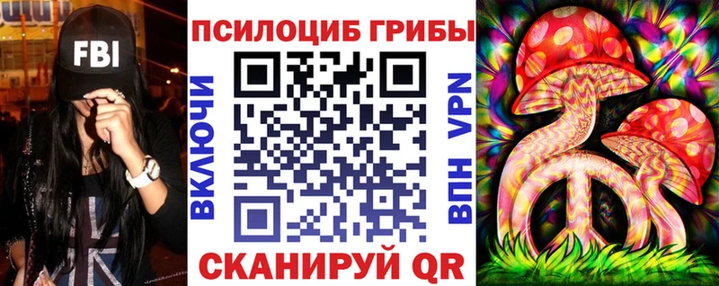 Галлюциногенные грибы Psilocybe  Фатеж 